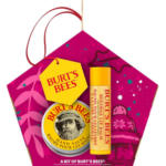 Burt's Bees Gift Set For Lip & Hand, Beeswax Lip Balm and Hand Salve in a Christmas Box